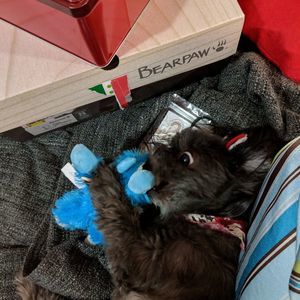 Meet your Posher, Kelly